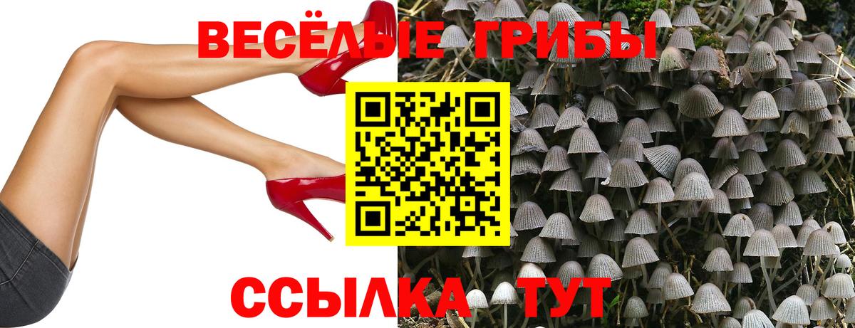 Ханты-Мансийск  Галлюциногенные грибы прущие грибы  Галлюциногенные грибы Psilocybe  Вход с VPN 